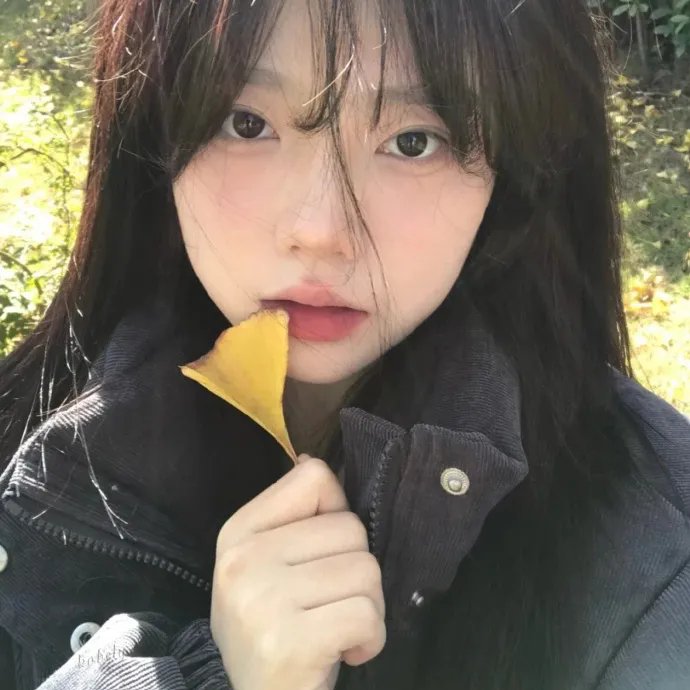 梅耶公园